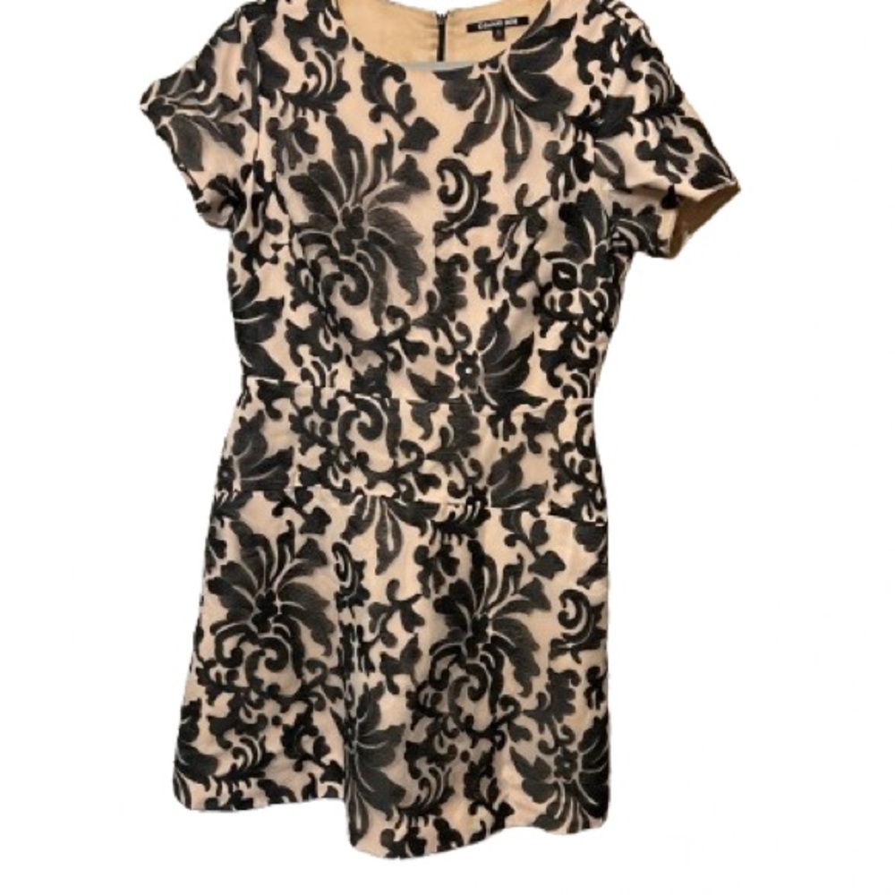 Gianni Bini Black and Cream Mini Dress